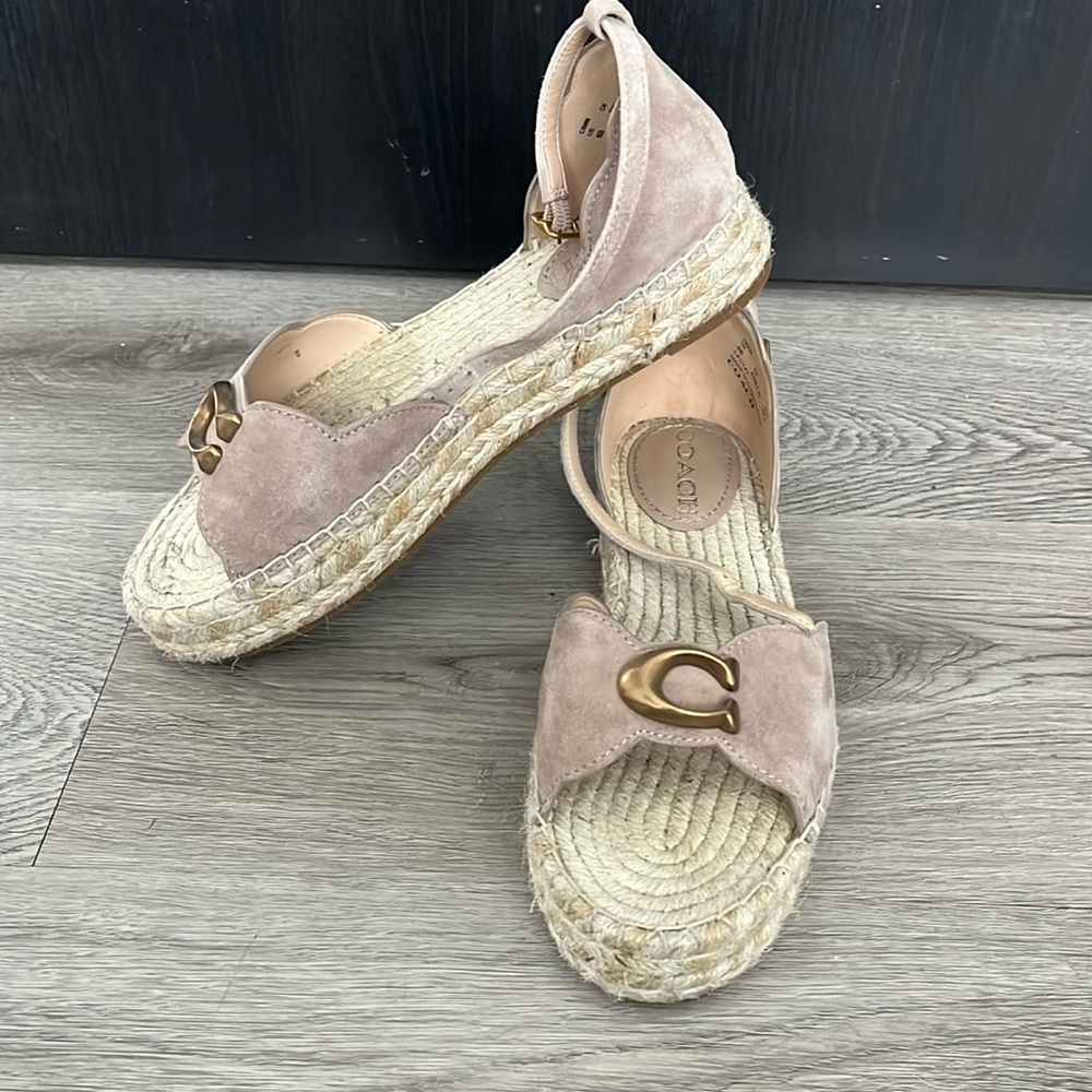 Coach Womens Dillon Tan Suede Ankle Strap Open Toe Platform Sandals